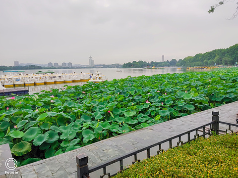 玄武湖景区旅游景点攻略图