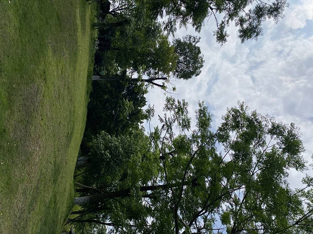 "孔子公园：孔子文化公园是古宇湖景区一处必去的地方 ，步入眼帘的就是这座高达的青铜孔子塑像，让人..._古宇湖北入口湿地公园"的评论图片