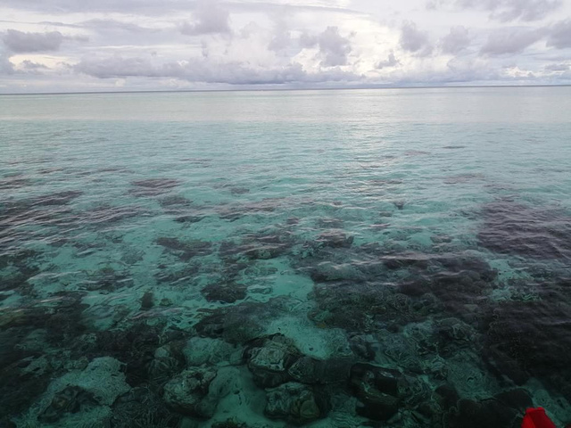 "这是马达京岛第二个浮潜点，马达京是私人岛屿不允许随便上岛_马达京岛"的评论图片