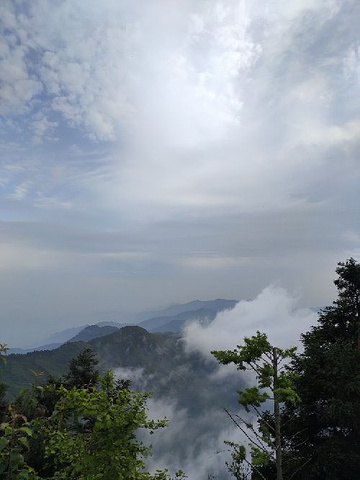 "衡山的景区交通比较好，可以坐索道和环保车，买票很容易，路线标志很清晰。_衡山"的评论图片