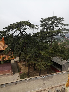 普乐寺