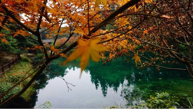 重庆九凤瑶池海明山庄