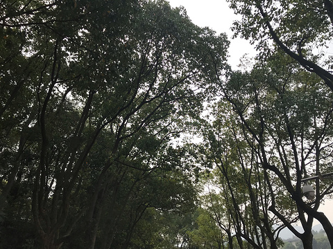 韶山旅游景点攻略图