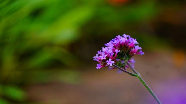 铜锣山矿山公园