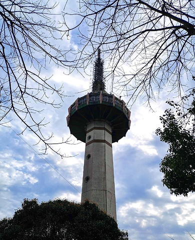 "1.岳麓山风景区🏯主要景点:岳麓书院，爱晚亭来到岳麓山，这也是必打卡景点_岳麓山"的评论图片