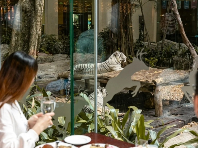 "自助午餐的话可能菜品种类没有那么多，总得来说就是吃环境吧_长隆酒店(广州长隆野生动物世界店)·白虎自助餐厅"的评论图片