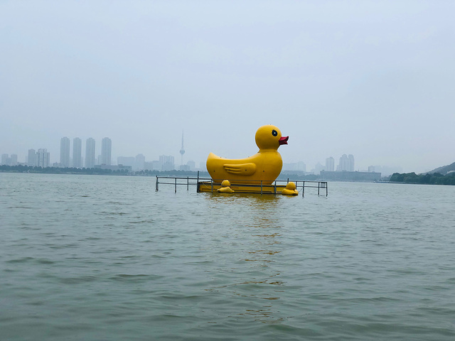 哈哈,下雨天划船,大家一起屁屁湿了_云龙湖旅游景区"的评论图片