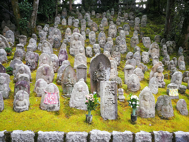 "_清水寺"的评论图片