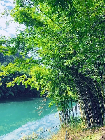 "肇庆广宁_肇庆广宁大屋村"的评论图片