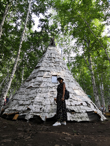 "白桦林景区占地面积近1000公顷，是距市区最近的一片原始森林之一_白桦林景区"的评论图片