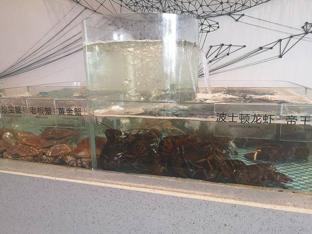 隐海肴 | 海鲜餐厅(双子塔海景店)