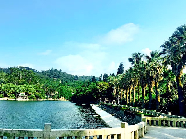 "在岛内最大的植物园感受热带雨林_厦门"的评论图片