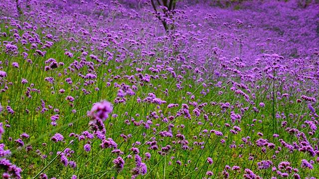 铜锣山矿山公园