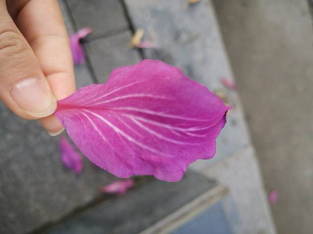 御膳粥(大良店)