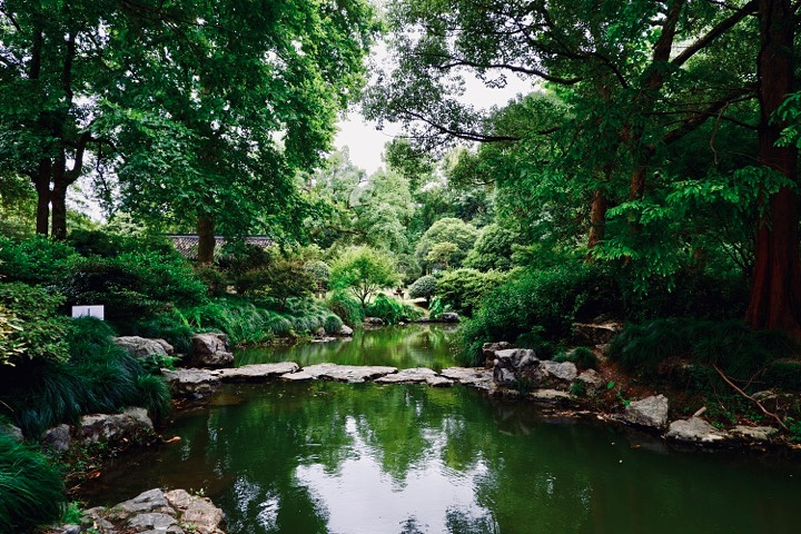 杭城必玩榜上的杭州植物園景點全攻略