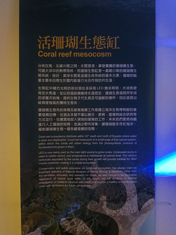 "台湾的洋流有黑潮和涌潮流，让深海的养分给贝类带来了丰富营养物质，又分为，海岸贝，浅海贝，深海贝_旗津贝壳馆"的评论图片
