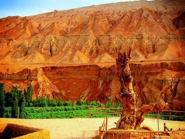 新疆大漠土艺馆