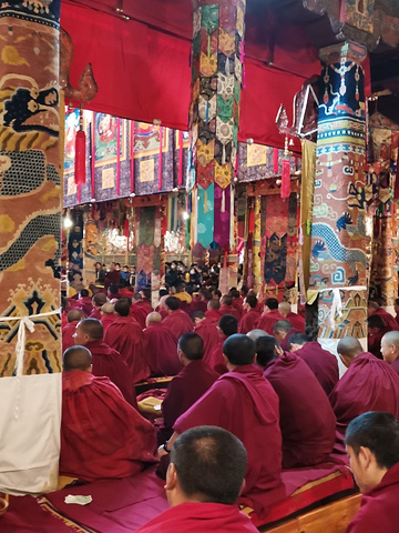 "西藏色拉寺_色拉寺"的评论图片