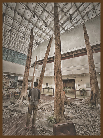 "这一个大片区都是和“木”相关的聚集景点，门票：20元名称：上海木文化博物馆博物馆一共三层，_上海木文化博物馆"的评论图片