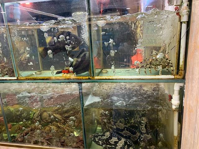 小鱼海鲜·创于1998年(珍珠湾花园店)