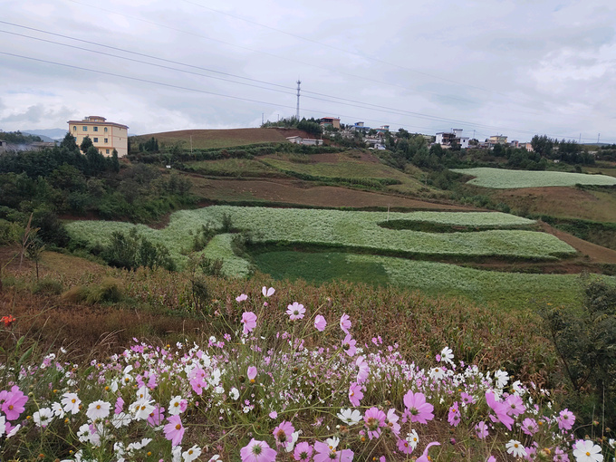 1日游-昆明旅游攻略-游记-去哪儿攻略