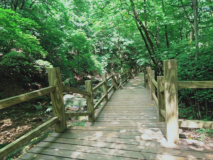 汤沟森林公园图片