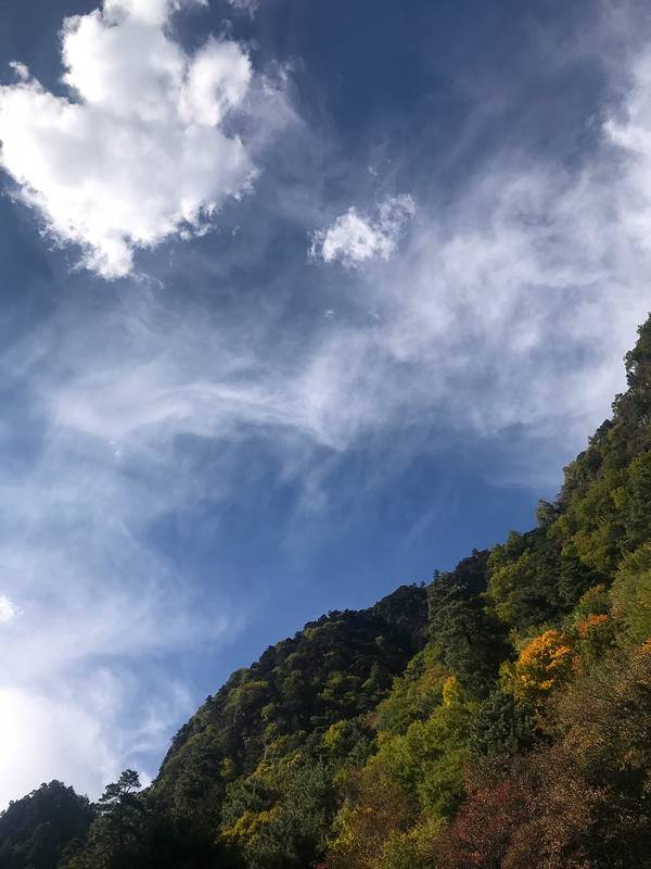 3月7日重庆市旅游气象预报(重庆旅游天气)(图1) 2021重庆北站_旅游攻略_门票_地址_游记
