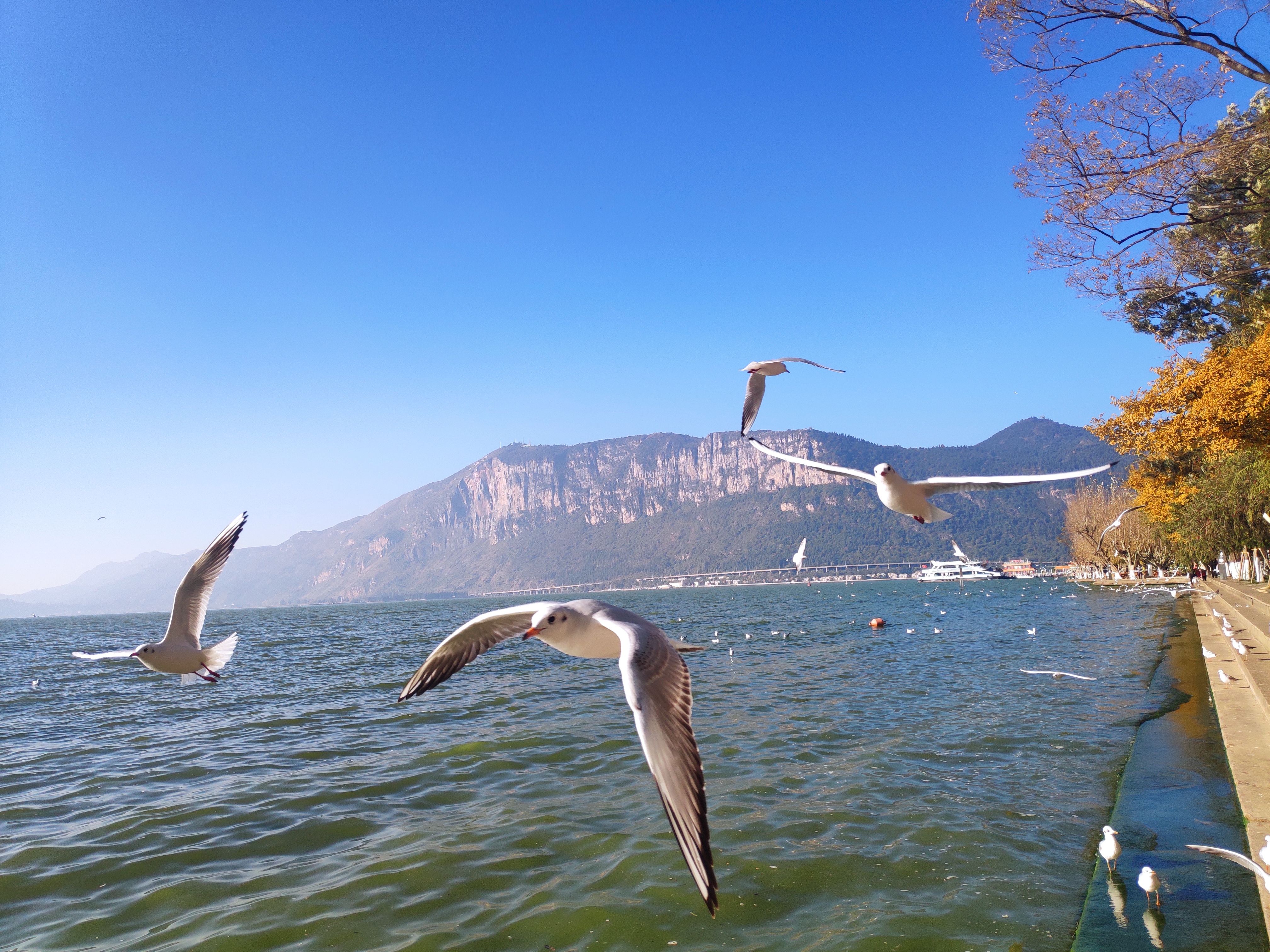 67滇越铁路主题公园公园1903旅游