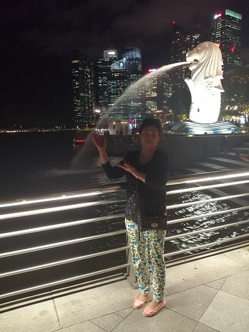 "新加坡鱼尾狮公园。夜色的鱼尾狮，辉映出河对岸灯光璀璨的金沙酒店。新加坡鱼尾狮公园。新加坡鱼尾狮公园_鱼尾狮公园"的评论图片