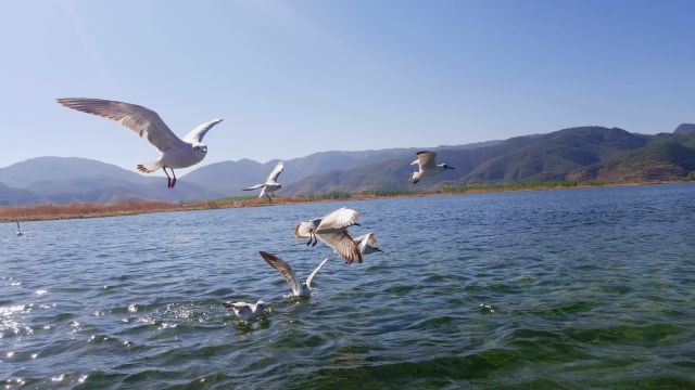 泸沽湖格姆女神山索道