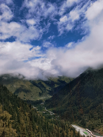 "川西小众旅游路线🏔️_川西竹海景区"的评论图片