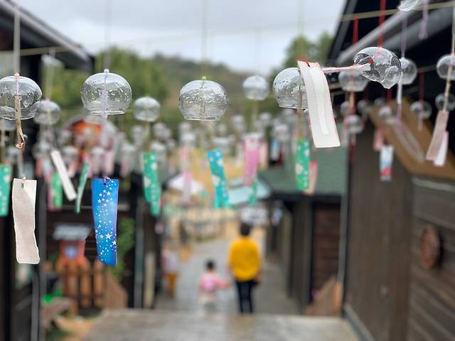 后岭花开嬉栖谷