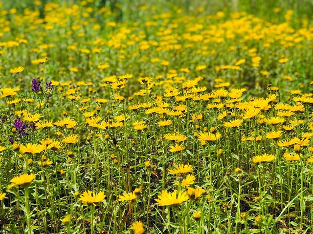 天保那苏图草原旅游度假区