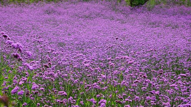 铜锣山矿山公园