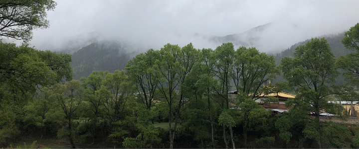 "五月天非常幸运遇到大雪纷飞，忘我欢乐，童心未泯。用完早餐，我们参观了郎木寺。路途中_郎木寺镇"的评论图片