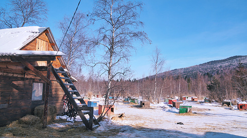 贝加尔雪橇中心旅游景点攻略图