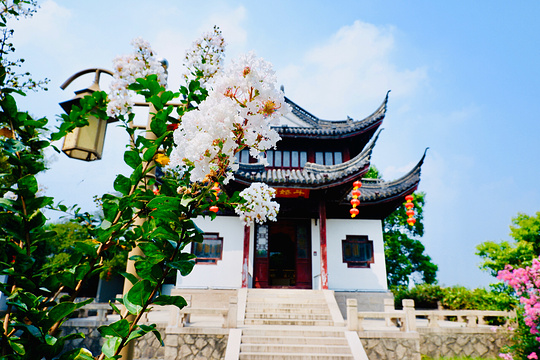罗星洲旅游景点图片