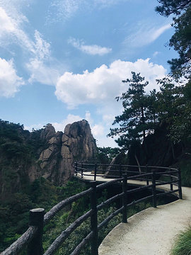 九华山公园旅游景点攻略图