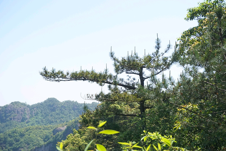 "...景一般般，便直接乘坐缆车前往半山腰，省去了2小时左右攀爬时间，节省体力与时间去欣赏更美丽的景色_神仙居"的评论图片