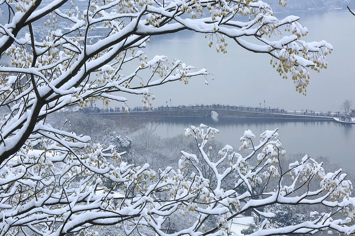 "杭州游•断桥打卡攻略_断桥残雪"的评论图片