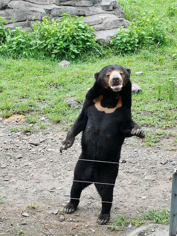 "宁波雅戈尔动物园 周末一日游之超棒的体验_宁波"的评论图片