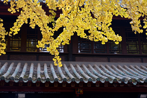 青羊宫旅游景点攻略图