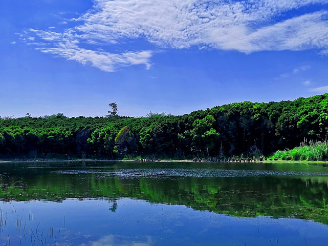 "_青龙湖湿地公园"的评论图片
