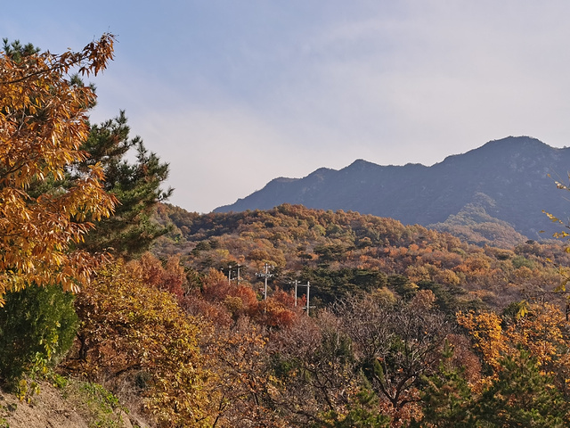 "灵慧山_灵慧山"的评论图片