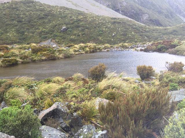 库克山国家公园游客中心