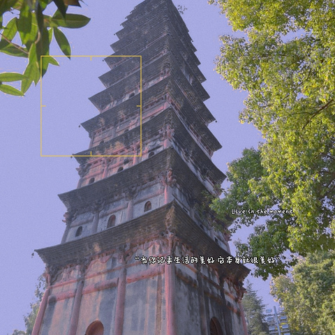 "_鹤鸣山景区"的评论图片