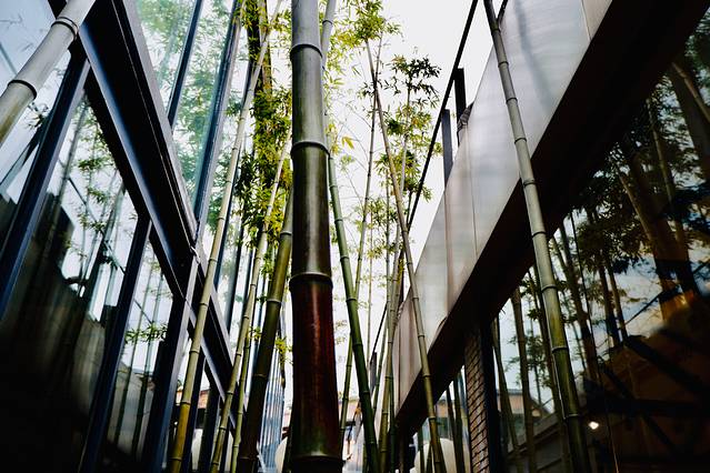 北仓图书馆(北仓文创街区店)