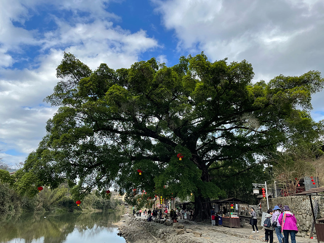 "坐客车到云水谣风景区，客车也到接待中心下车，在这里买去田坑土楼景区的门票和车票。看看能不能配上时间_福建土楼(南靖)景区"的评论图片