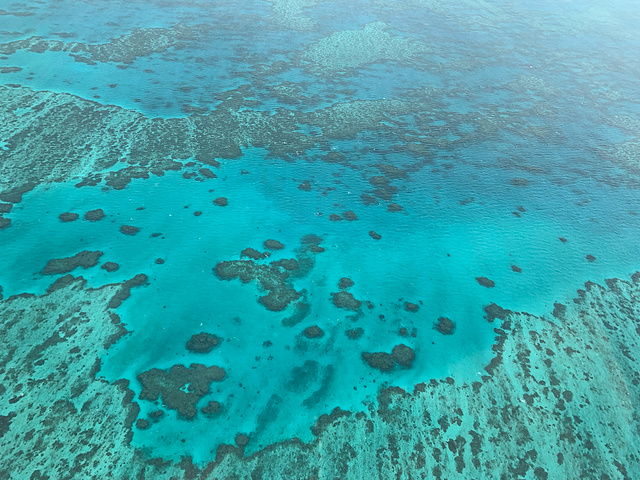 "_大堡礁GBR直升机体验"的评论图片