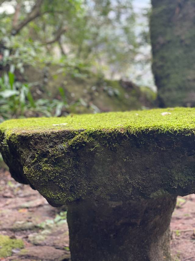 武夷山风景名胜区-隐屏峰